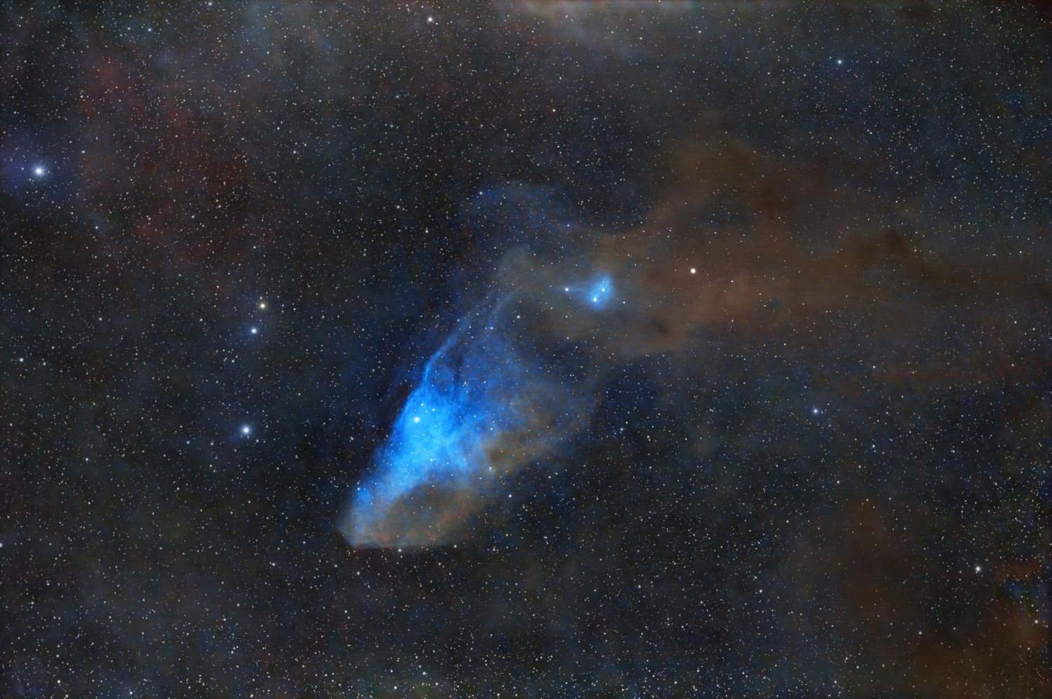 cabeza de caballo final